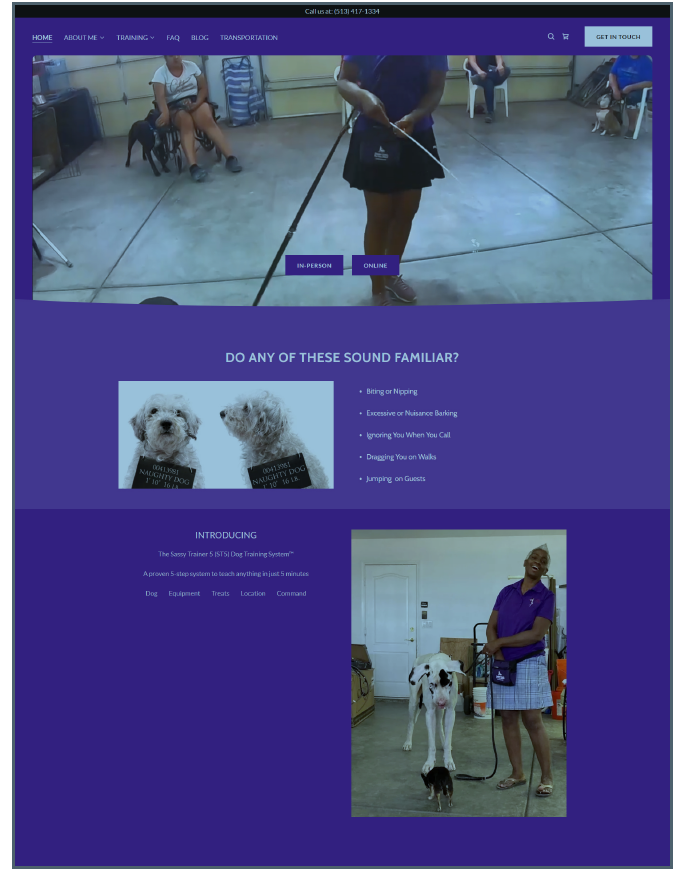 Before - Tynia's old website